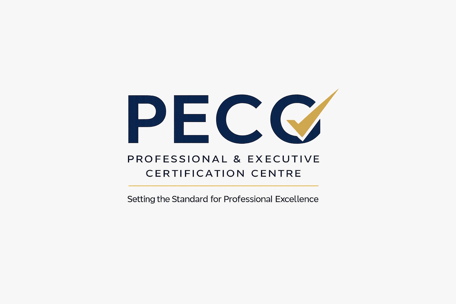 PROFESSIONAL & EXECUTIVE CERTIFICATION CENTER - PECC